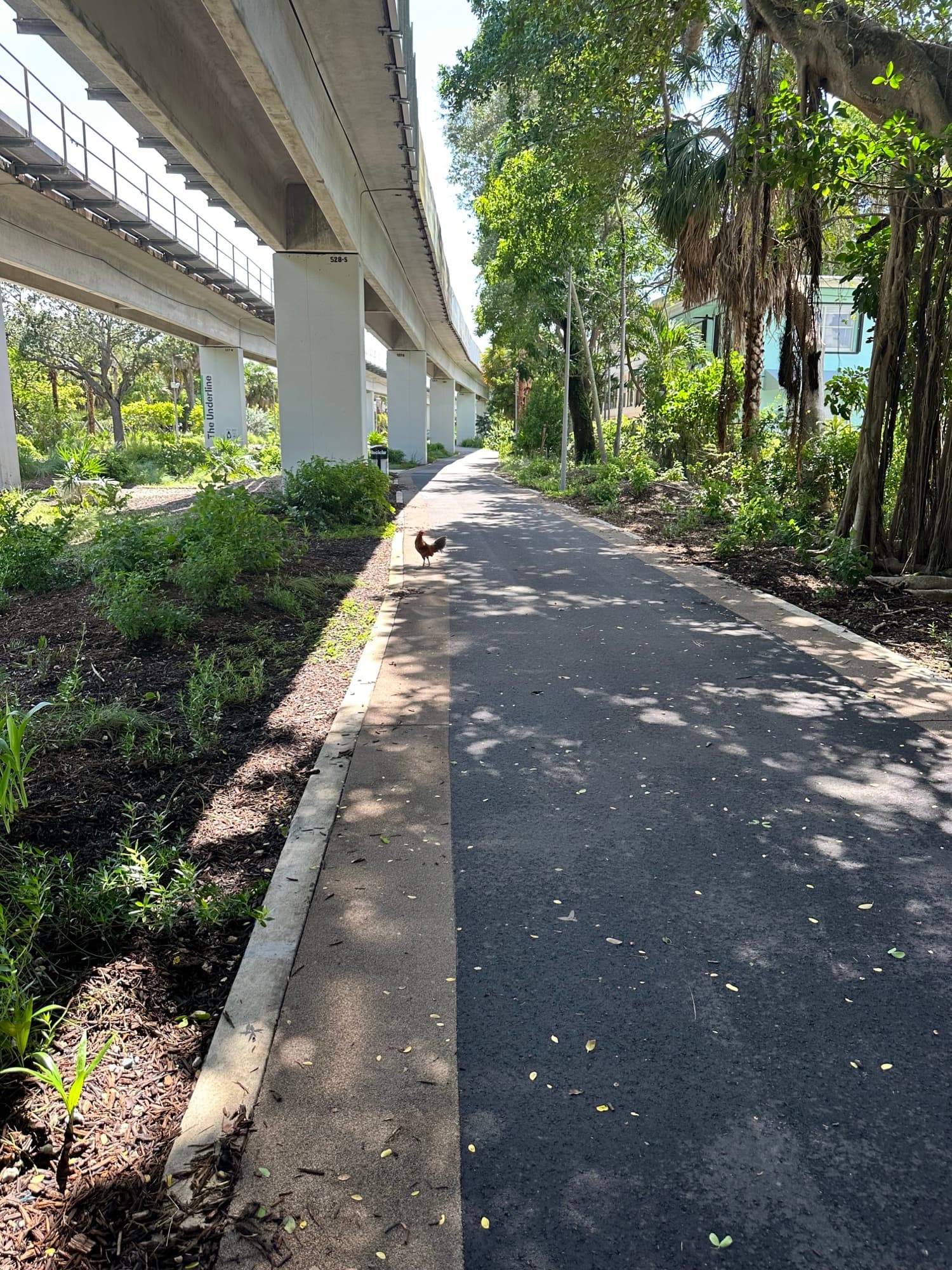 The Underline, a shaded linear park running path under the Miami Metrorail